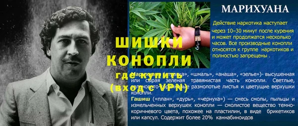 соль ск Надым