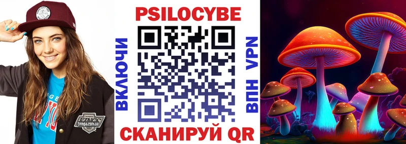 наркотики  Нолинск  OMG tor  Псилоцибиновые грибы мицелий 